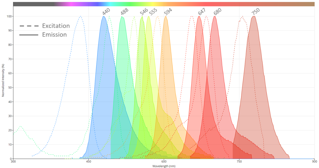 CFP Fluor Excitation and Emission Spectrum